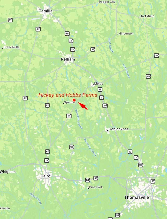 Hickey and Hobbs Farms GA For Sale Plantation Services